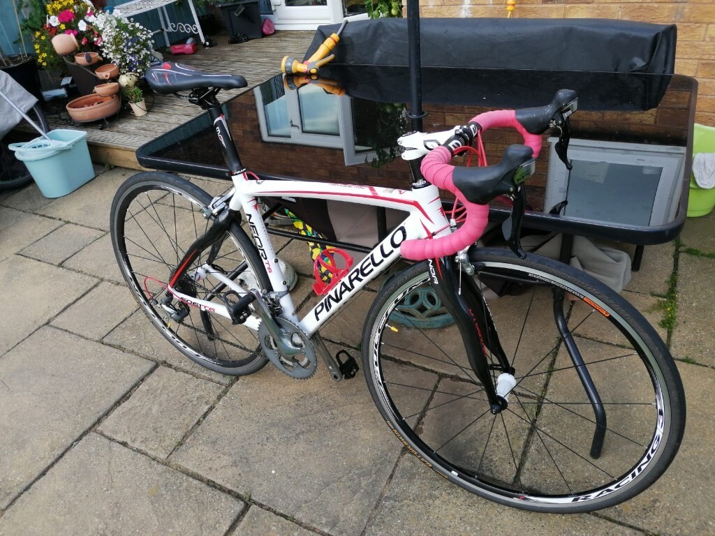 gumtree pinarello